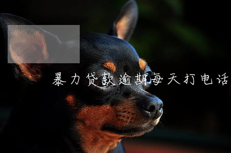 暴力贷款逾期每天打电话 暴力贷款逾期每天打电话