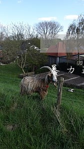 暴力违法相关新闻 暴力违法相关新闻