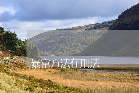暴富方法在刑法 暴富方法在刑法
