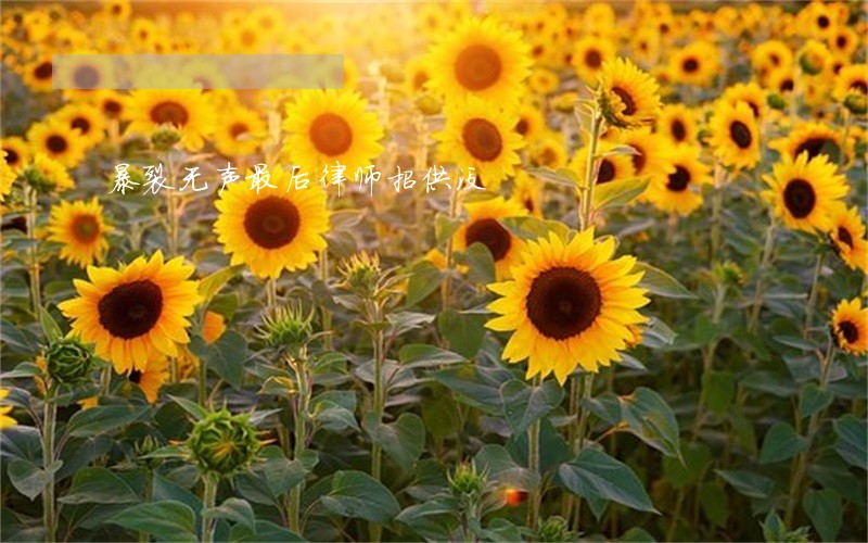 暴裂无声最后律师招供没 暴裂无声最后律师招供没