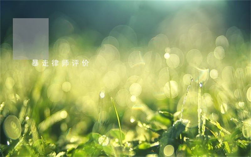 暴走律师评价 暴走律师评价