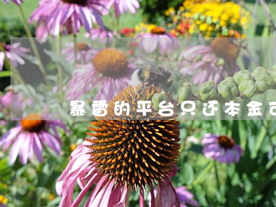 暴雷的平台只还本金可以吗 暴雷的平台只还本金可以吗