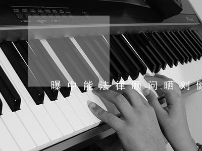 曝中能法律顾问晒刘健合同 曝中能法律顾问晒刘健合同