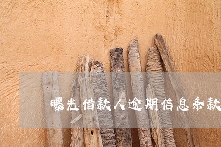 曝光借款人逾期信息条款