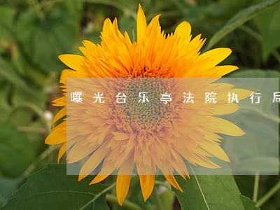 曝光台乐亭法院执行局
