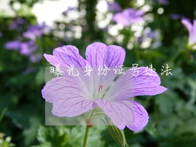 曝光身份证号违法 曝光身份证号违法