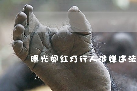 曝光闯红灯行人涉嫌违法 曝光闯红灯行人涉嫌违法