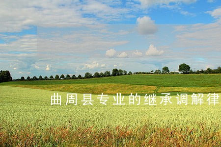 曲周县专业的继承调解律师诉讼