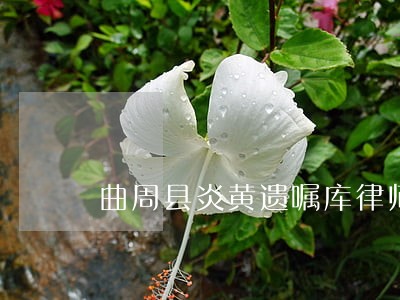曲周县炎黄遗嘱库律师