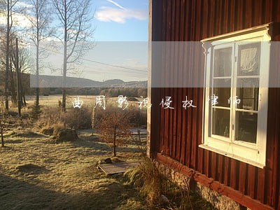 曲周影视侵权律师 曲周影视侵权律师