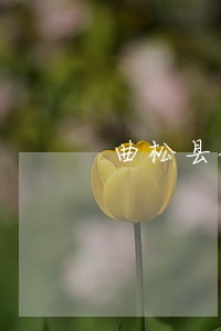 曲松县破产清算在线律师 曲松县破产清算在线律师