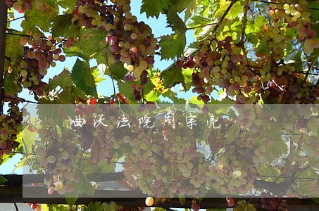 曲沃法院周宗亮 曲沃法院周宗亮