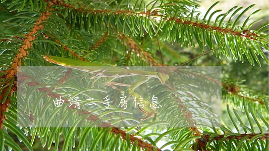 曲靖二手房信息 曲靖二手房信息