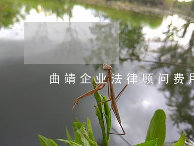 曲靖企业法律顾问费用 曲靖企业法律顾问费用