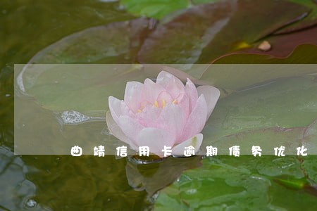 曲靖信用卡逾期债务优化怎么收费