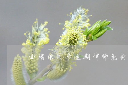 曲靖信用卡逾期律师免费咨询 曲靖信用卡逾期律师免费咨询