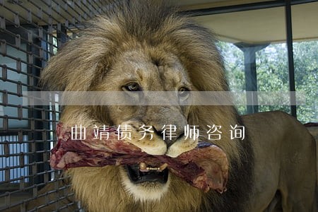 曲靖债务律师咨询 曲靖债务律师咨询