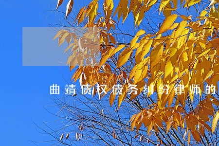 曲靖债权债务纠纷律师的费用 曲靖债权债务纠纷律师的费用