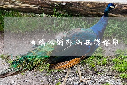 曲靖倾销补贴在线律师 曲靖倾销补贴在线律师