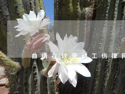 曲靖在线劳动工伤律师收费标准 曲靖在线劳动工伤律师收费标准
