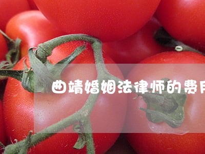 曲靖婚姻法律师的费用 曲靖婚姻法律师的费用