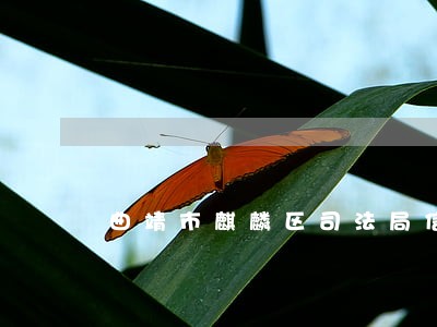 曲靖市麒麟区司法局信息公开指南 曲靖市麒麟区司法局信息公开指南