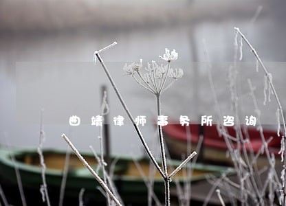 曲靖律师事务所咨询