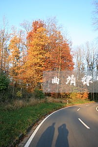曲靖律师事务所排名 曲靖律师事务所排名