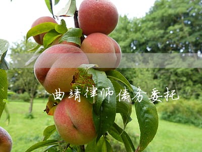 曲靖律师债务委托 曲靖律师债务委托