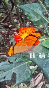 曲靖技术合同纠纷律师 曲靖技术合同纠纷律师