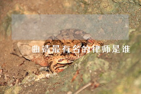 曲靖最有名的律师是谁 曲靖最有名的律师是谁