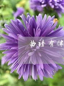 曲靖有律师帮忙要钱的吗 曲靖有律师帮忙要钱的吗
