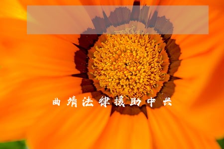 曲靖法律援助中兴