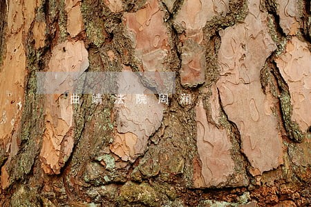 曲靖法院周润 曲靖法院周润