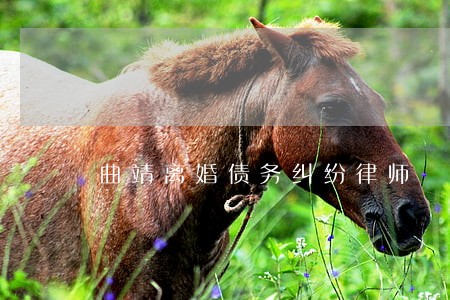 曲靖离婚债务纠纷律师 曲靖离婚债务纠纷律师