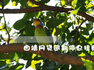 曲靖网贷逾期停息挂账申请条件