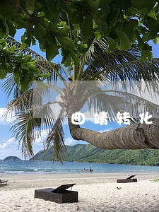 曲靖转化合同纠纷律师 曲靖转化合同纠纷律师