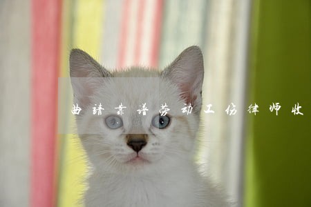曲靖靠谱劳动工伤律师收费标准 曲靖靠谱劳动工伤律师收费标准