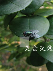 更合交通事故赔偿律师事务所 更合交通事故赔偿律师事务所