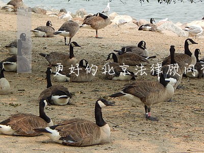 更好的北京法律顾问咨询 更好的北京法律顾问咨询