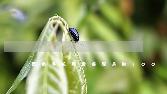 更换手机号没提醒逾期100 更换手机号没提醒逾期100