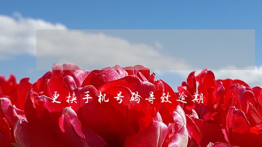 更换手机号码导致逾期 更换手机号码导致逾期