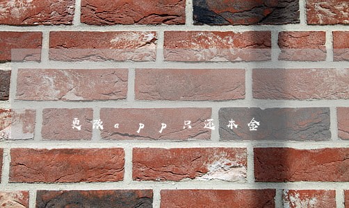 更改app只还本金 更改app只还本金