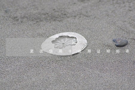 更改信用卡逾期证明邮寄方式