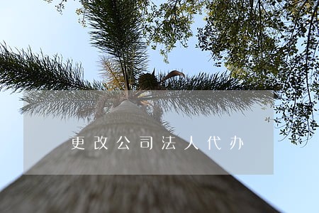 更改公司法人代办 更改公司法人代办