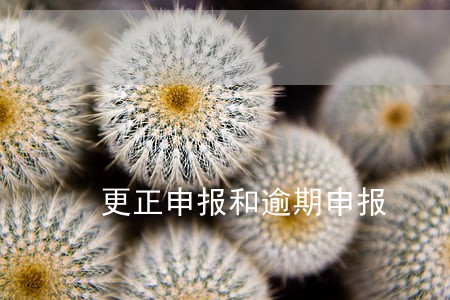 更正申报和逾期申报 更正申报和逾期申报