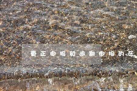 更正申报和逾期申报的区别 更正申报和逾期申报的区别