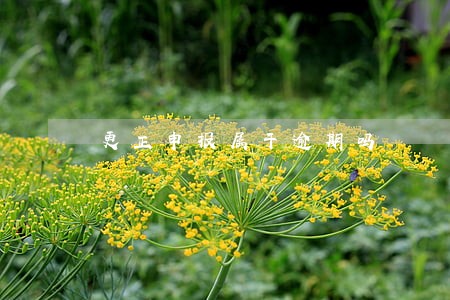 更正申报属于逾期吗 更正申报属于逾期吗