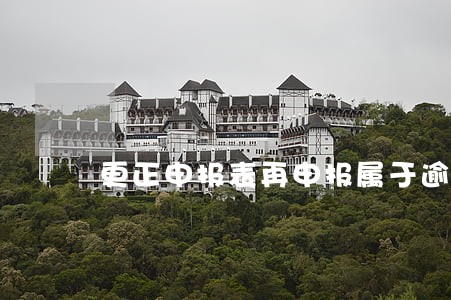 更正申报表再申报属于逾期吗 更正申报表再申报属于逾期吗