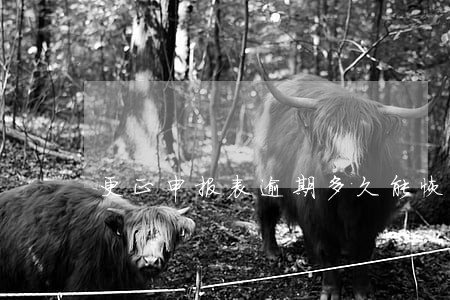 更正申报表逾期多久能恢复 更正申报表逾期多久能恢复